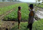 Bhabinkamtibmas-Jeruklegi-Dorong-Produktivitas-Lahan