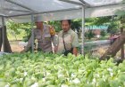Warga-Desa-Gelam-Antusias-Tanam-Sayur-Hidroponik-Dukung-Ketahanan-Pangan