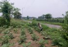 Bhabinkamtibmas-Kenongo-Cek-Lahan-Ketahanan-Pangan-Peternakan-Unggas-Dukung-Program-Asta-Cita-Presiden