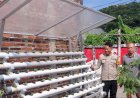 Polsek-Candi-Apresiasi-Program-Ketahanan-Pangan-Berbasis-Hidroponik-di-Desa-Bligo