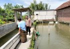 Bhabinkamtibmas-Tinjau-Ketahanan-Pangan-di-Kolam-Ikan-Nila-Milik-Warga-Desa-Wunut-Porong