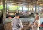 Anggota-Polsek-Sukodono-Cek-Ketahanan-Pangan-di-Peternakan-Kambing-Desa-Pademonegoro