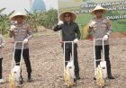 Dukung-Swasembada-Pangan,-Polresta-Sidoarjo-Tanam-Jagung-Kuartal-IV