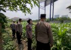Tingkatkan-Swasembada-Pangan,-Polsek-Waru-Ajak-Petani-Serius-Kelola-Tanaman-Jagung