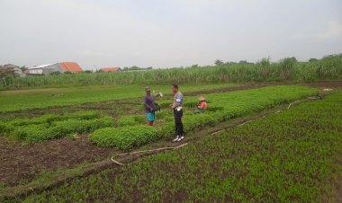 Bhabinkamtibmas-Desa-Gampang-Cek-Pekarangan-Pangan-Bergizi