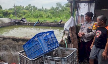 Warga-Tanggulangin-Bikin-Kolam-Budidaya-Ikan-Lele-di-Lahan-Rumah-Diapresiasi-Polisi
