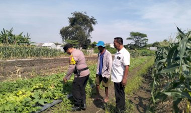 Sukseskan-Ketahanan-Pangan,-Bhabinkamtibmas-dan-Perangkat-Desa-Gamping-Motivasi-Petani-Garbis