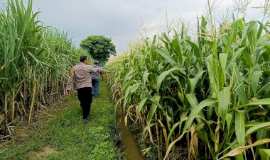 Kapolsek-Tarik-Masifkan-Patroli-Sambang-Desa-Dukung-Program-Asta-Cita-Presiden
