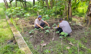 Bhabinkamtibmas-Grogol-Tinjau-Lahan-Ketahanan-Pangan