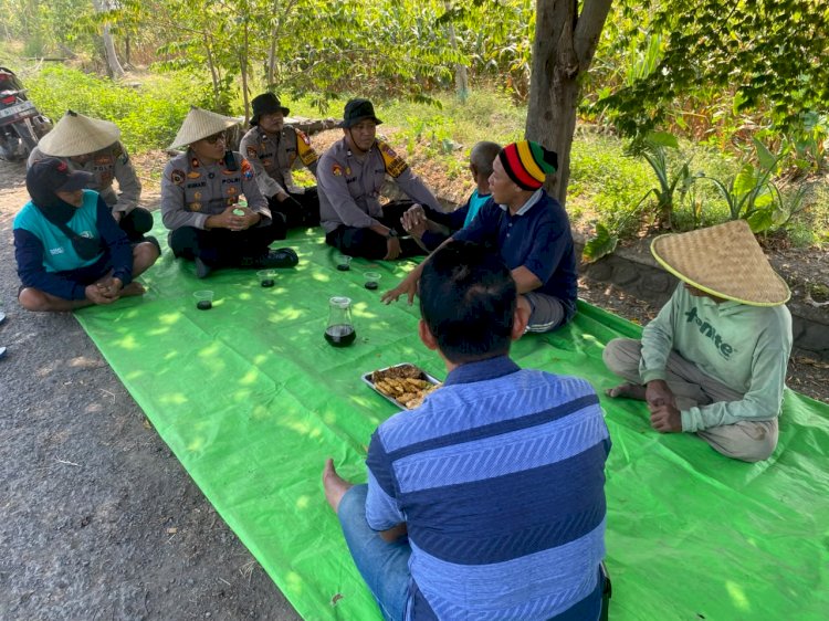 Kapolsek Balongbendo Pantau Kesiapan Panen Raya Jagung, Petani Soroti Harga dan Kebutuhan Bibit
